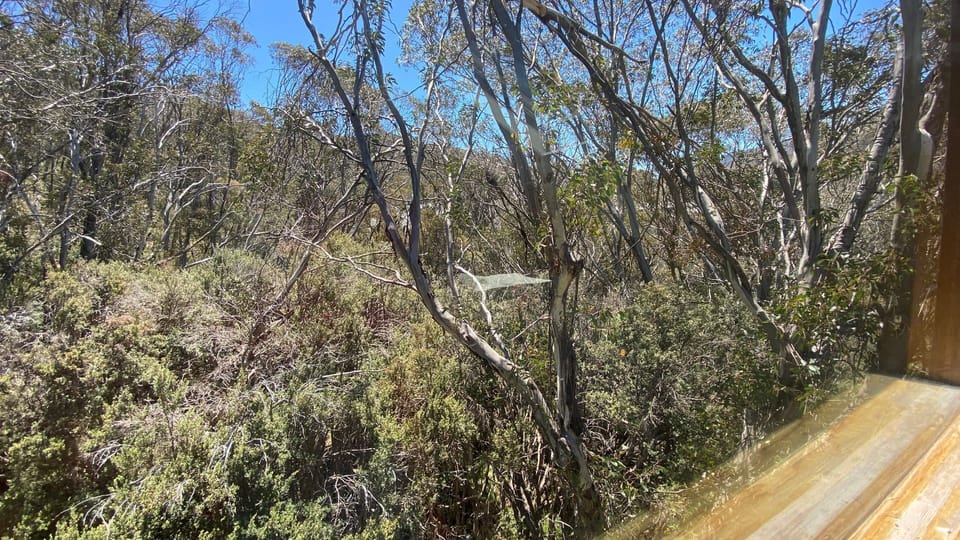 View from property
