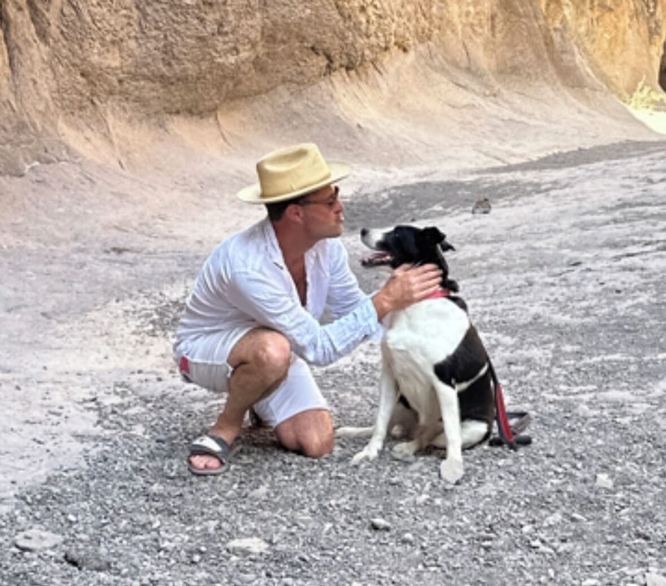 Pet-friendly
