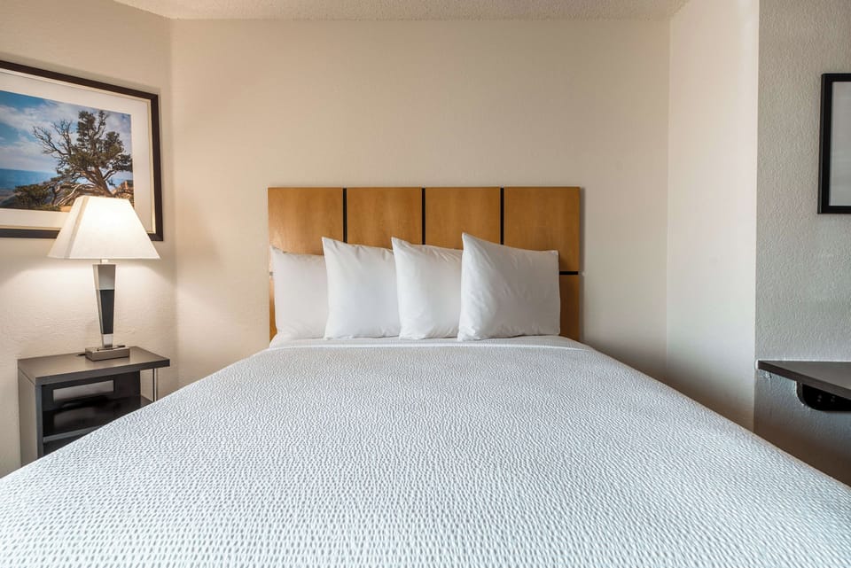 Sink into plush pillows and enjoy a calm, cozy night.