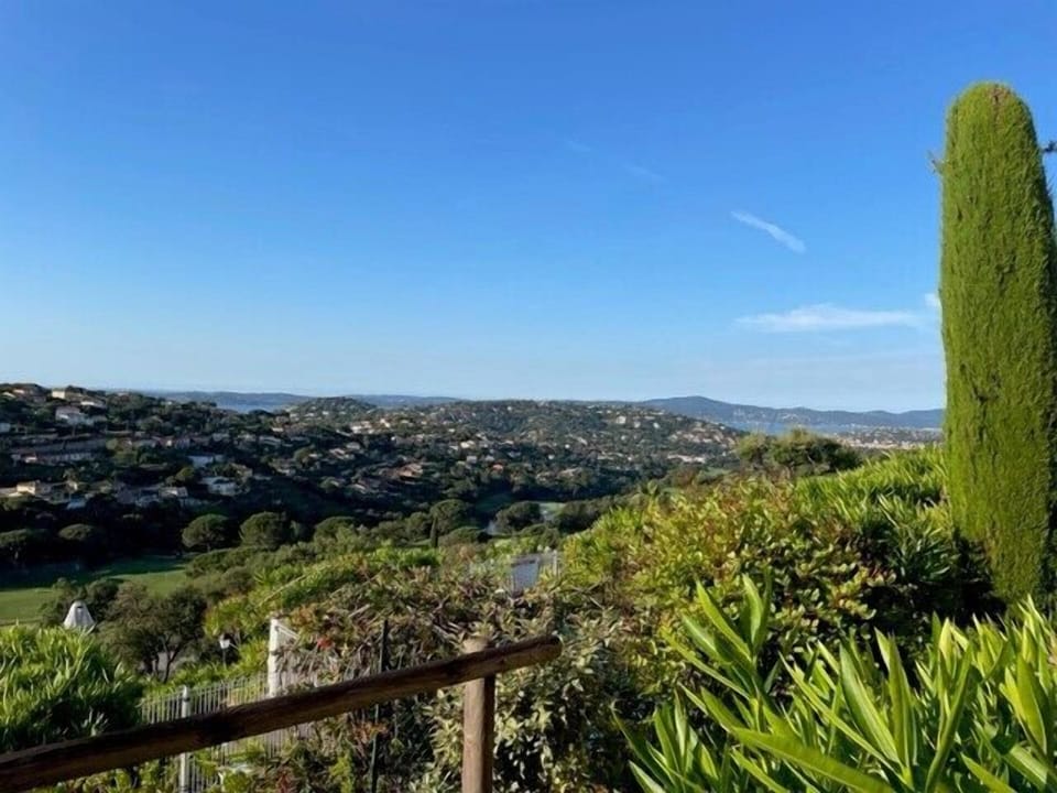 PANORAMIC VIEW (4)