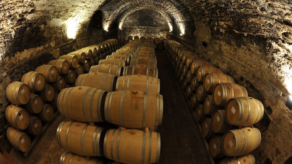 Visita las bodegas de vino cerca de la casa