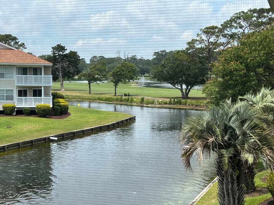 Screened Porch View