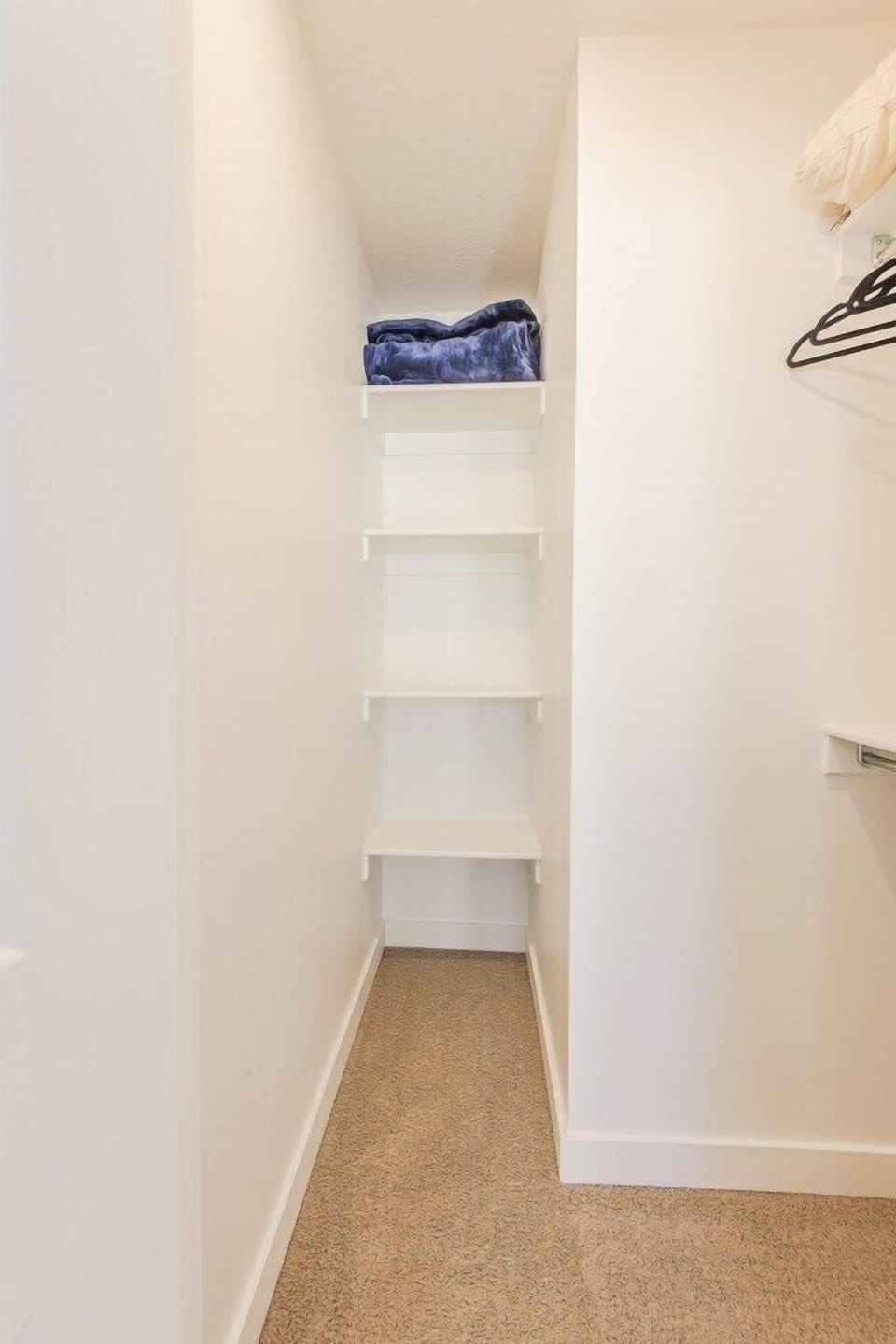 Bunk bedroom closet.
