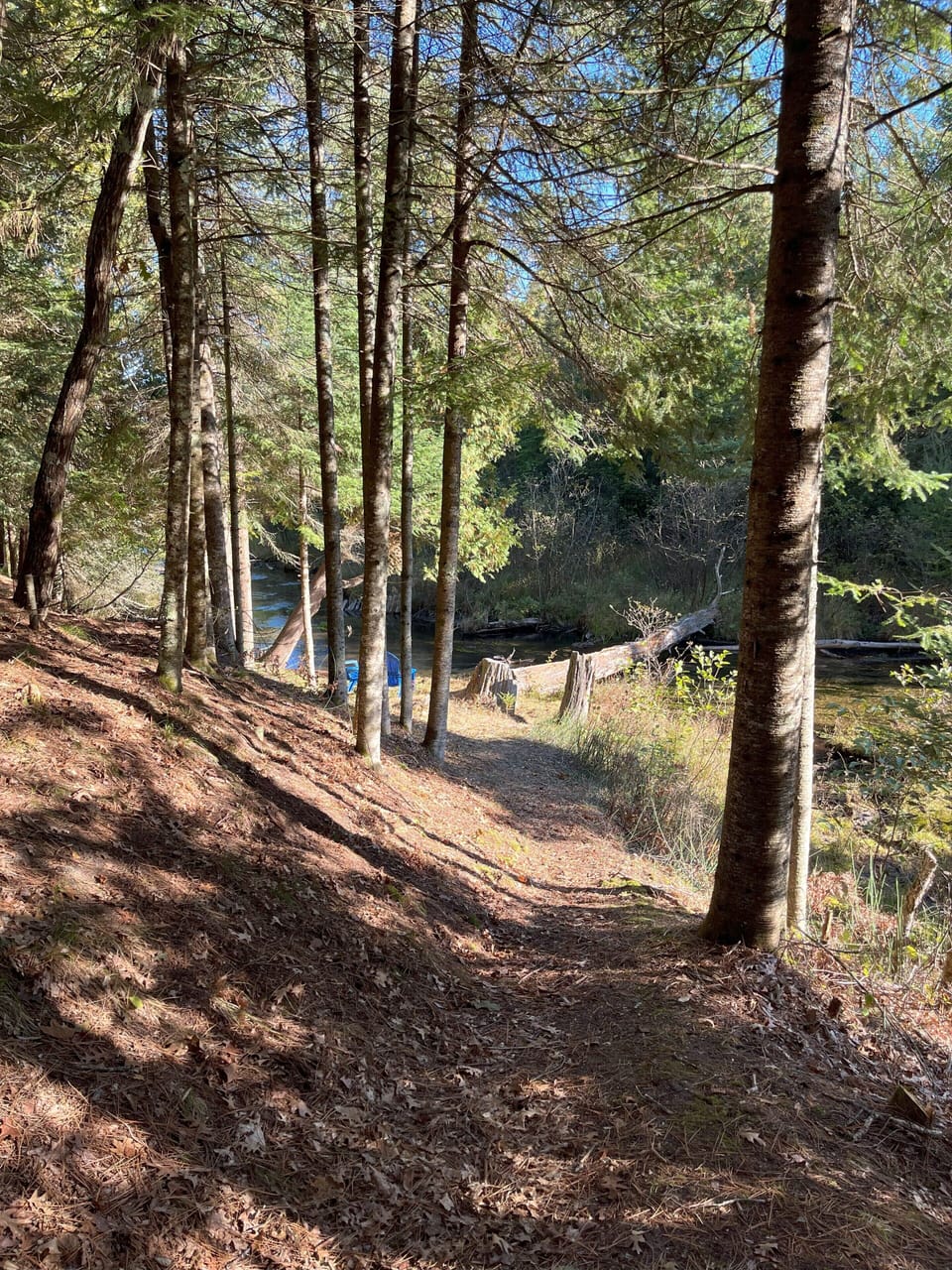 Easy walk down to the creek - no big staircase!