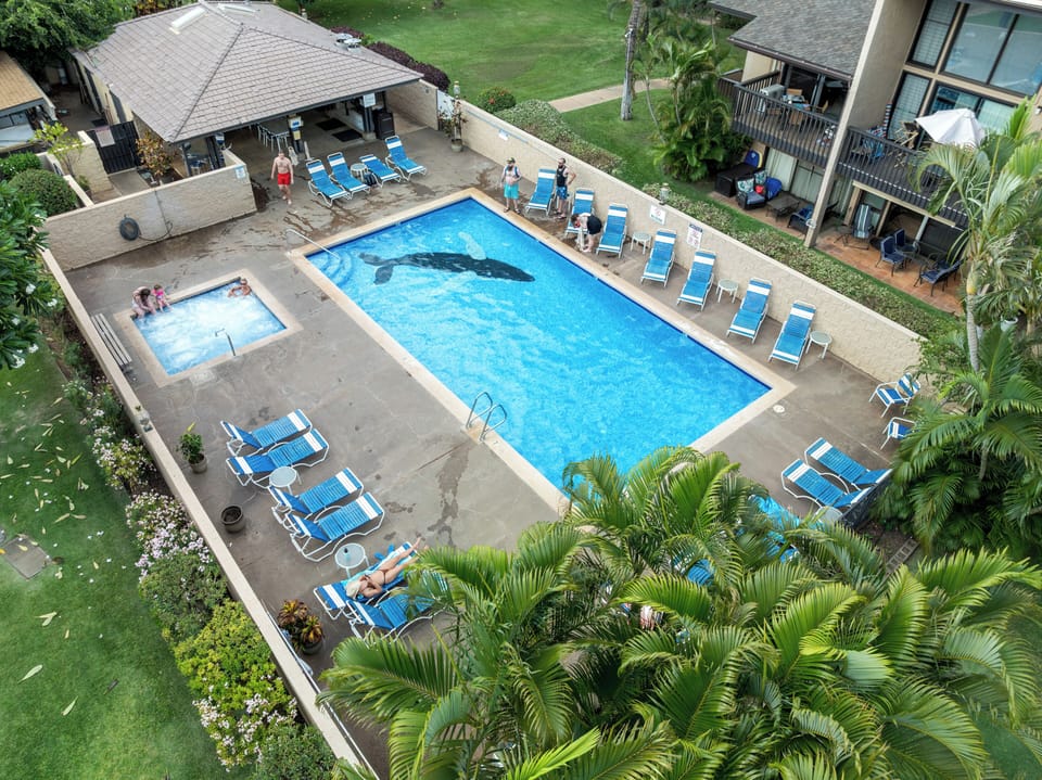 Beautiful pool with whale mosaic. Hot tub has recently been retiled.