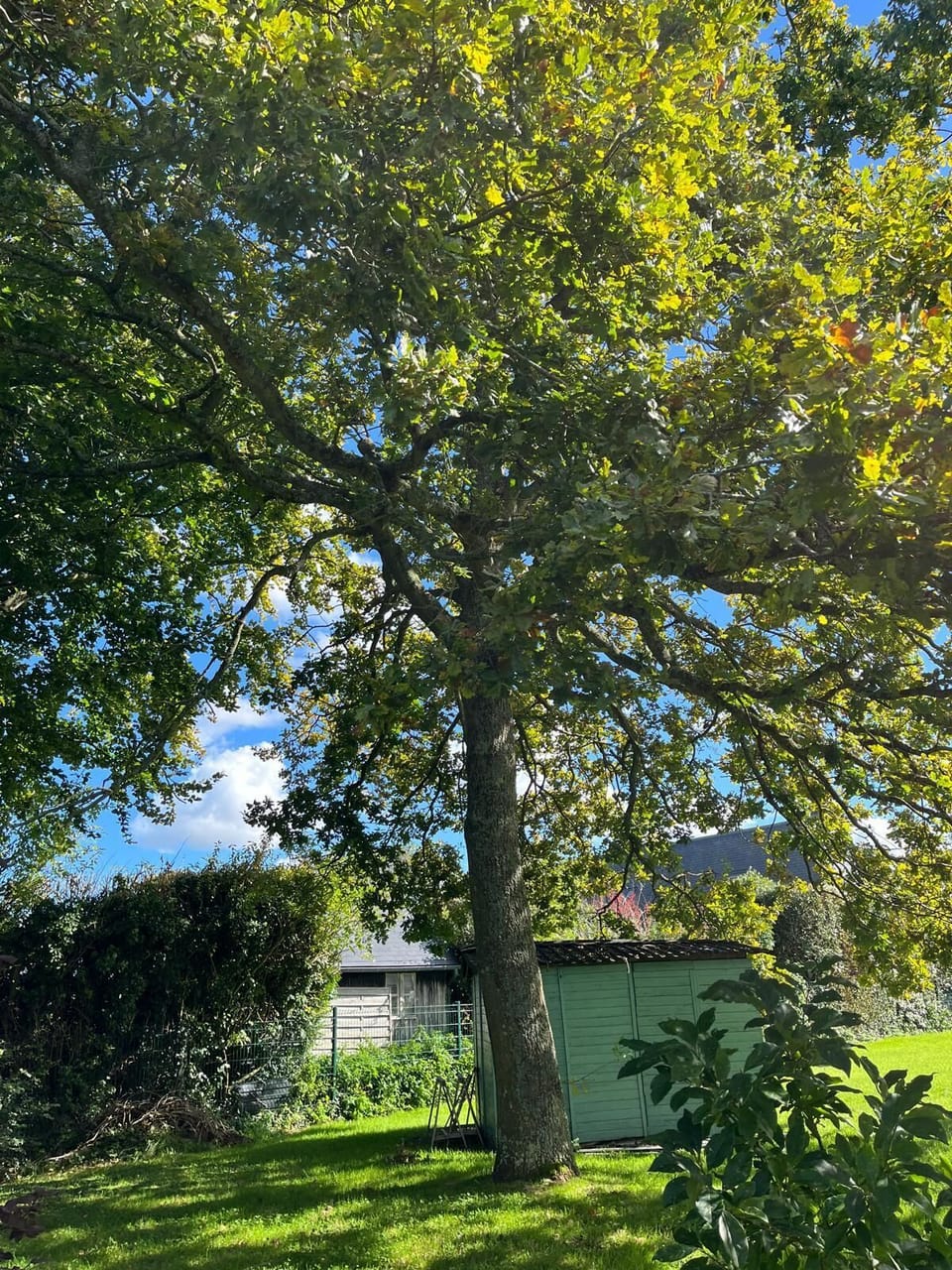 Miscellaneous