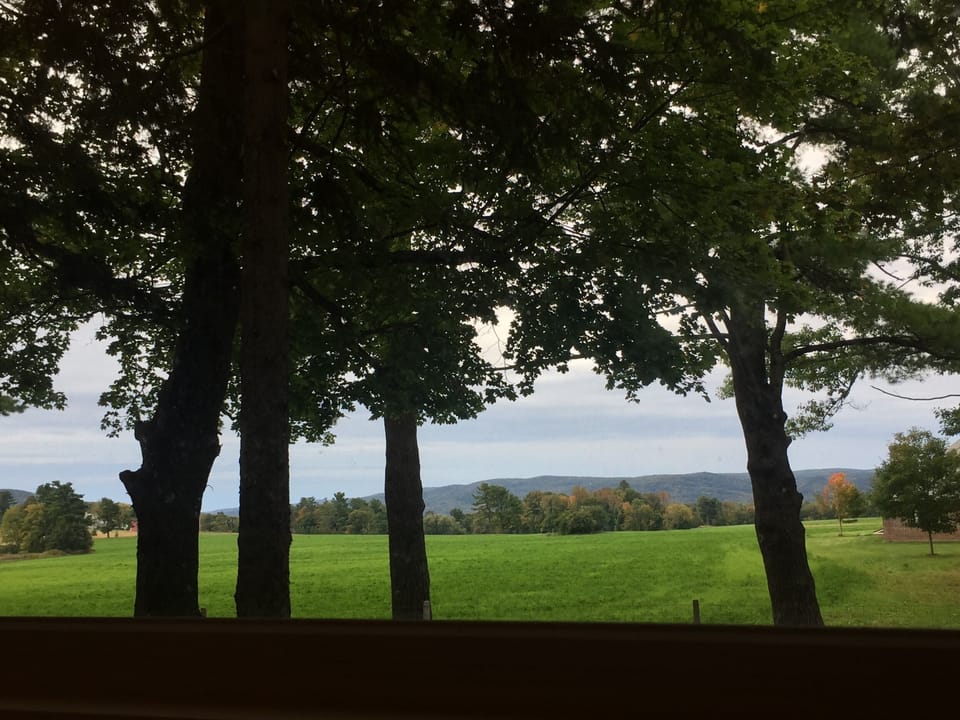 View from property