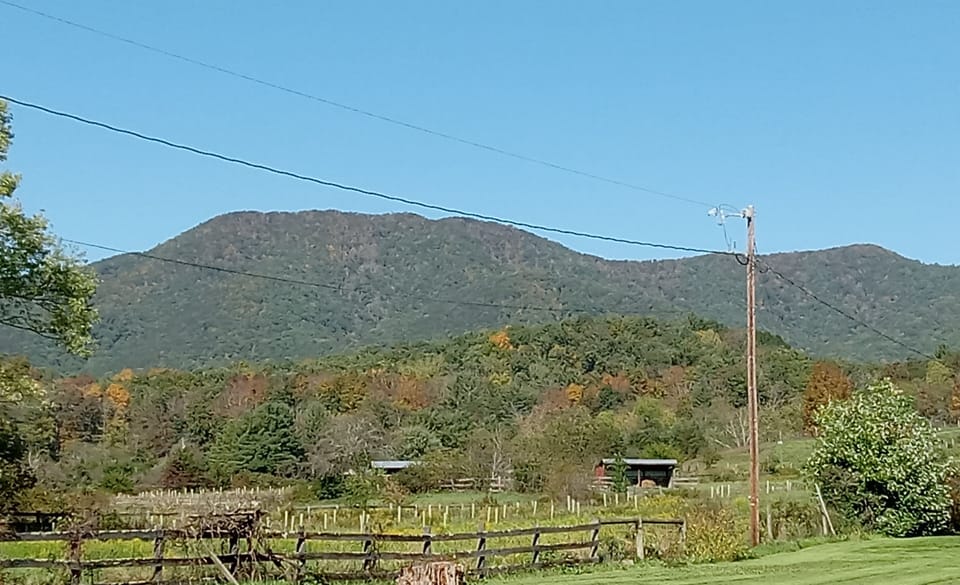 Springtime view from the guest front deck