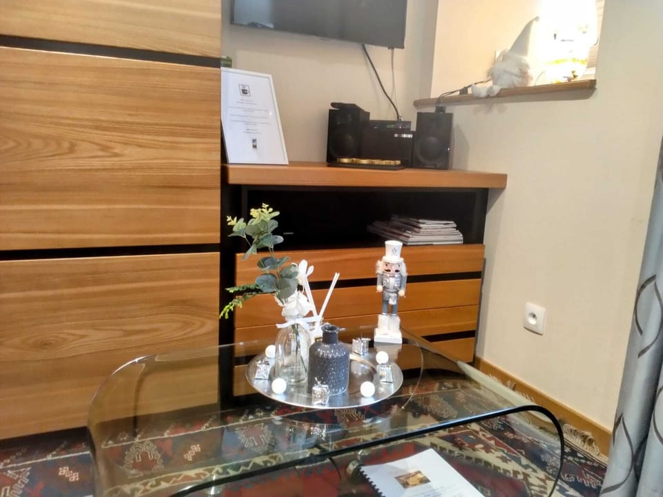 Television