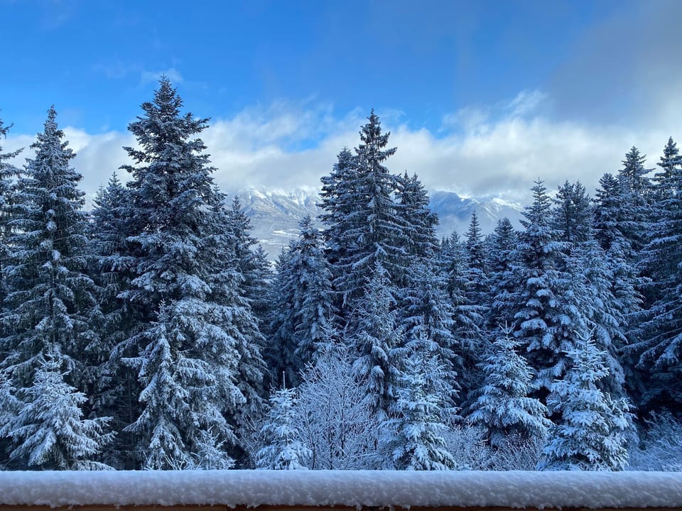 View from property