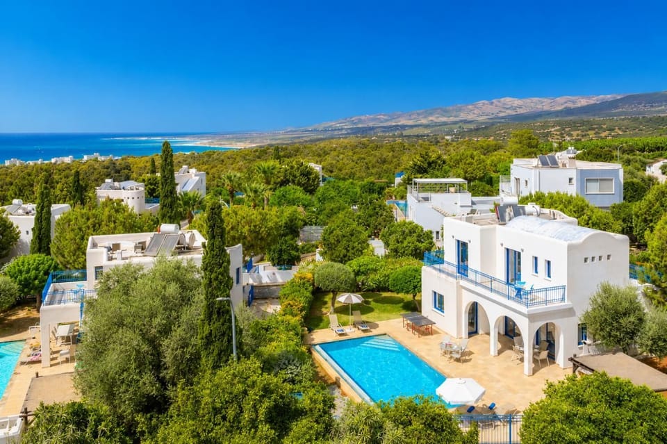 Aerial view of villa
