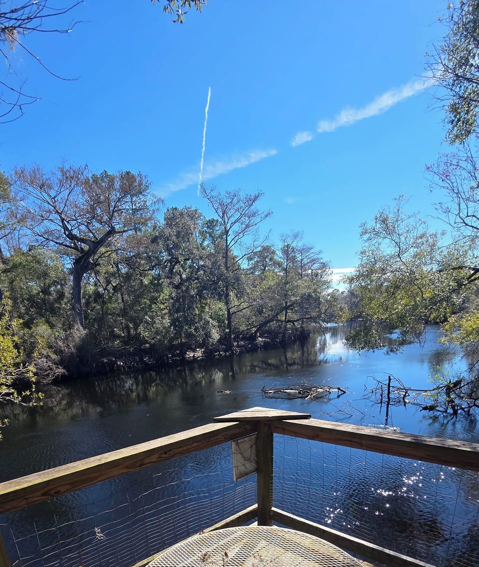 View from back deck over looking Withlacoochee river