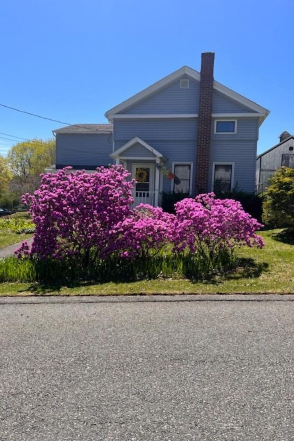 Front spring flowers