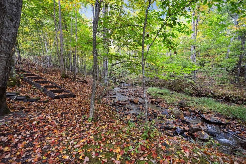 Path from the Cabin Leads to the Flowing Creek