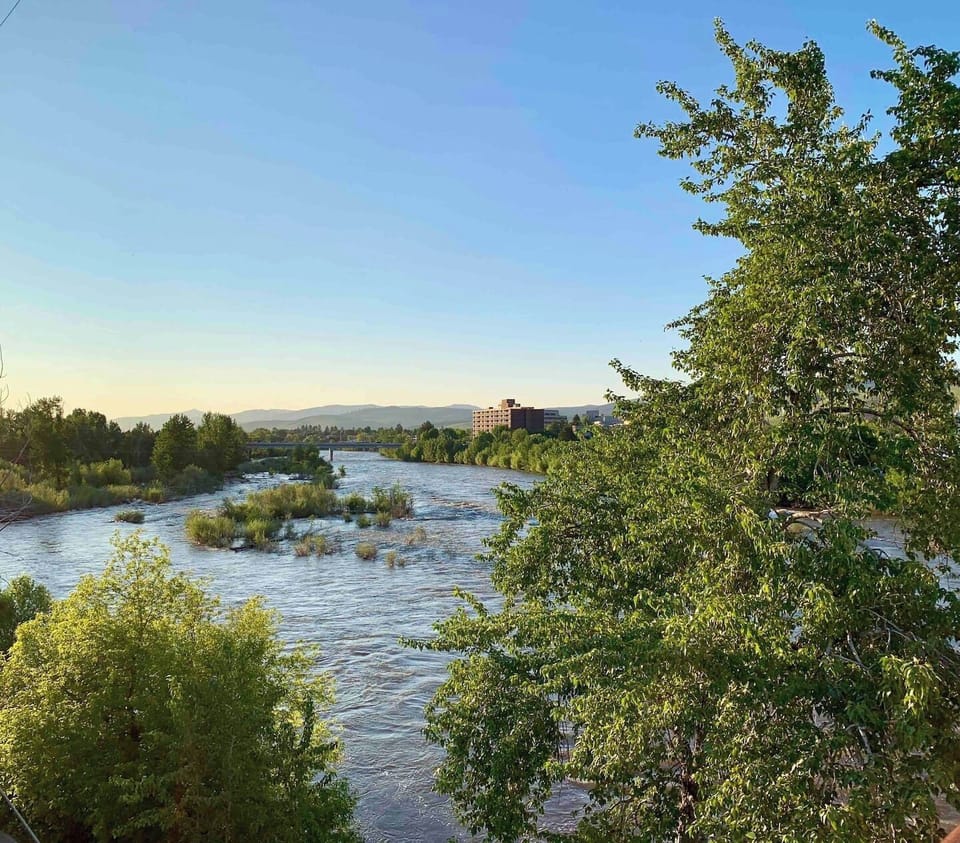 View from Bear Tracks Bridge...sun-kissed in the afternoon. 