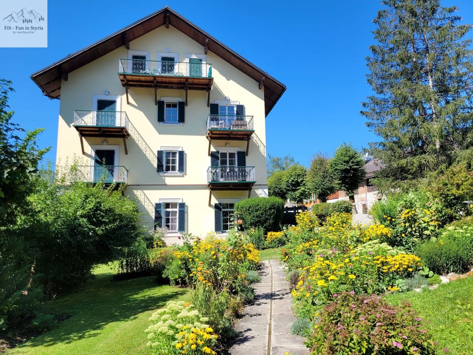 Main view