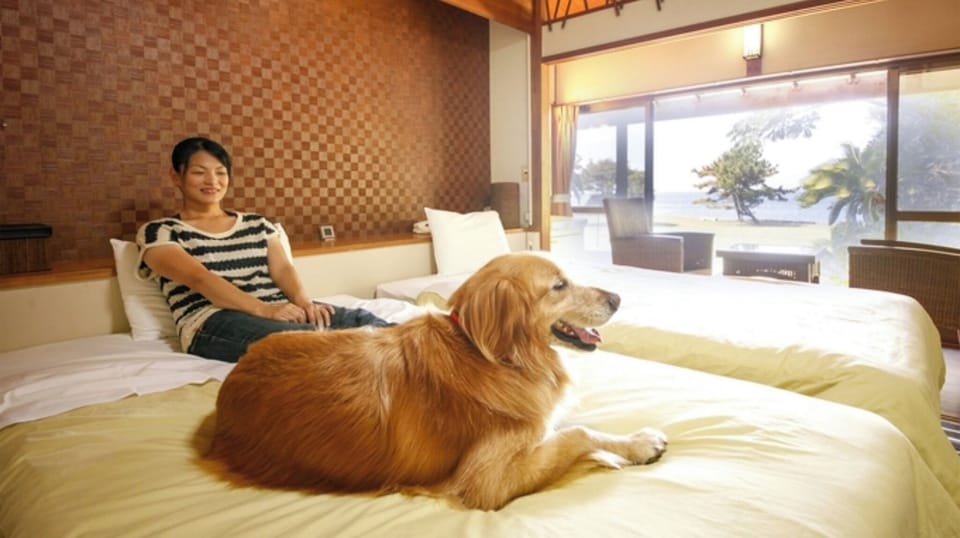 ・You can relax with your pet in the spacious semi-double bed.