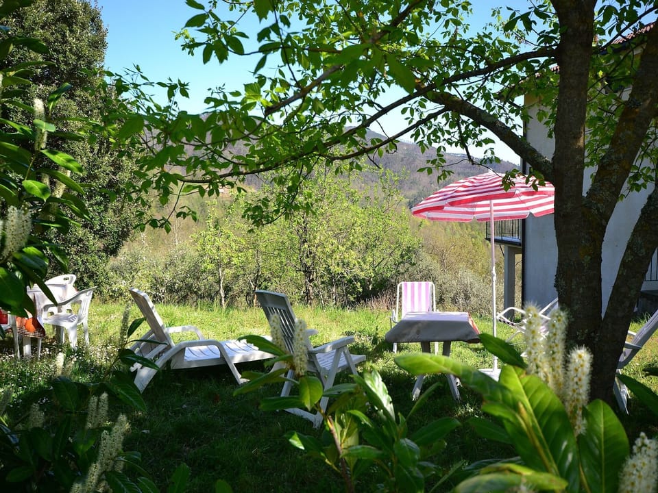 Garden [summer]