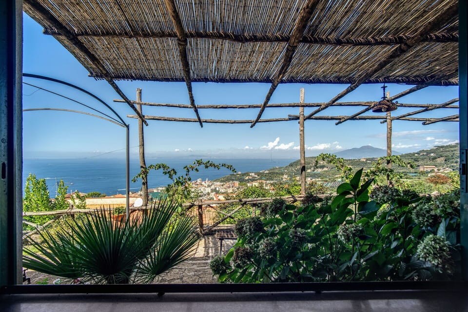 Autumn, Scenic View, Spring, Summer, Winter