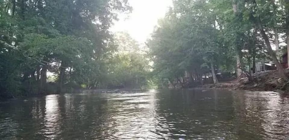 521d4aca-135f-4e9b-9190-562834dcd2cb