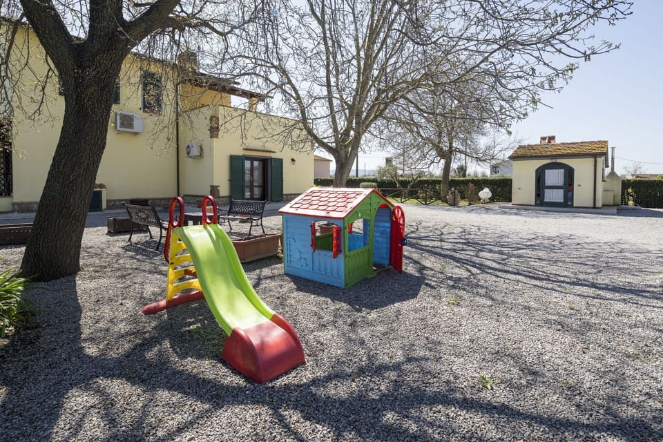 Autumn, Garden, Spring, Summer