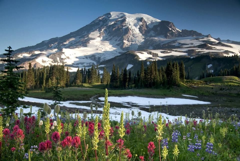 Mt. Rainer 