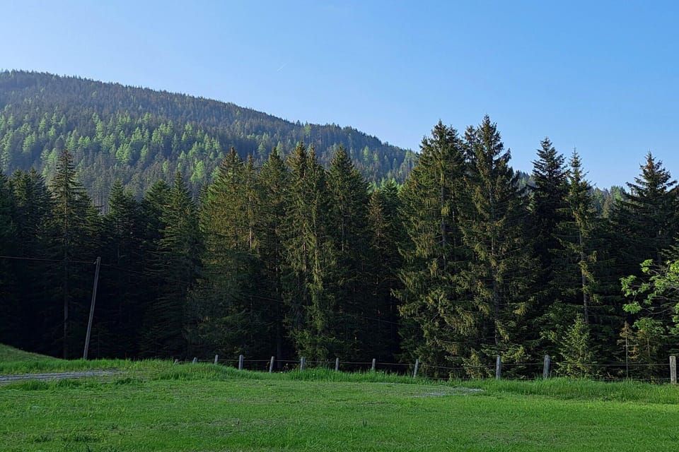 Immediate Surroundings [summer] (<1 km)