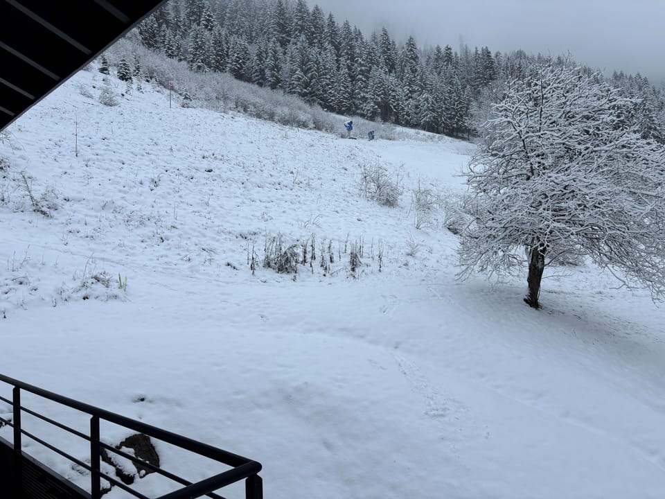 View from property