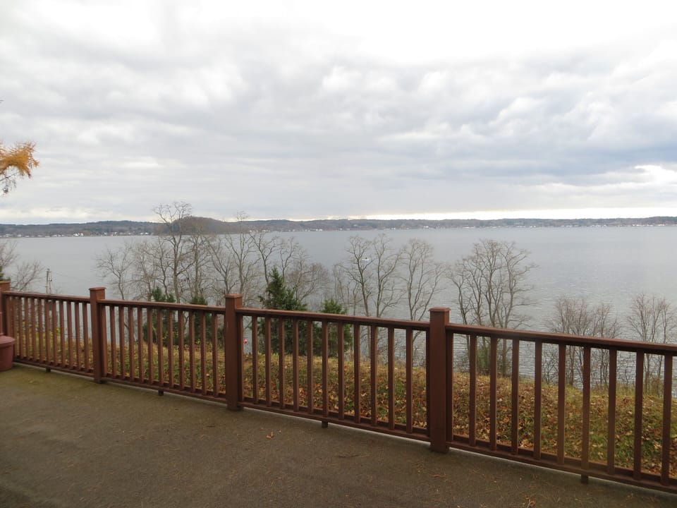 view from deck