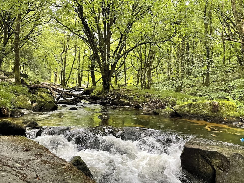 Surrounding area | Kingfishers Haven, St Cleer, near Liskeard