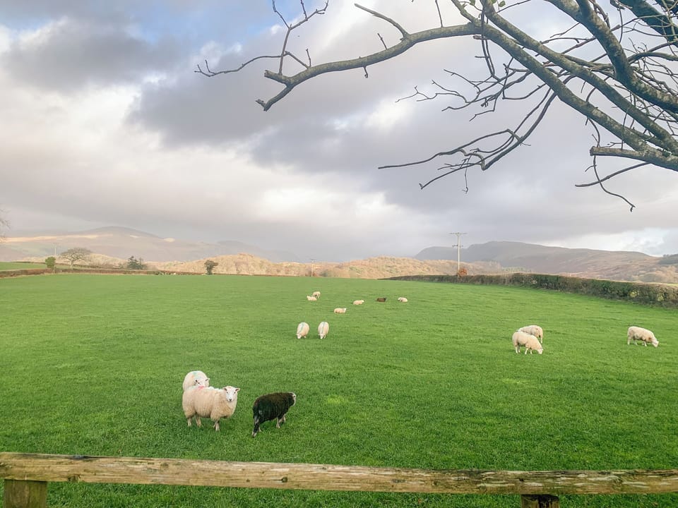 Winter garden view | Roses Cottage, Santon, near Holmrook