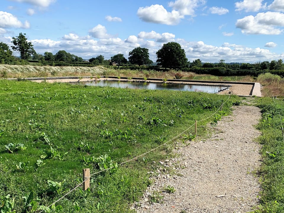 Swimming pool | The Organic Cabin - Feltham&rsquo;s Farm, Horsington Marsh, near Templecombe