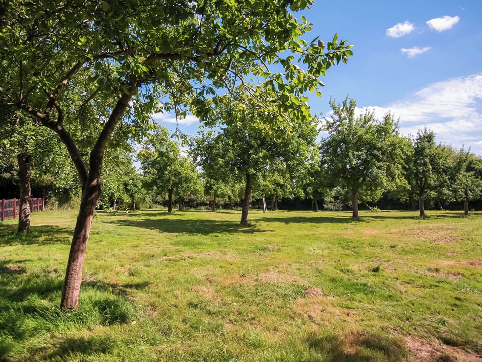 Garden and grounds | Gardeners Cottage, Kynaston