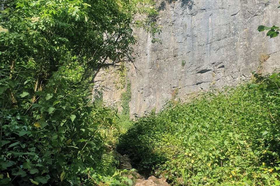 Image 12