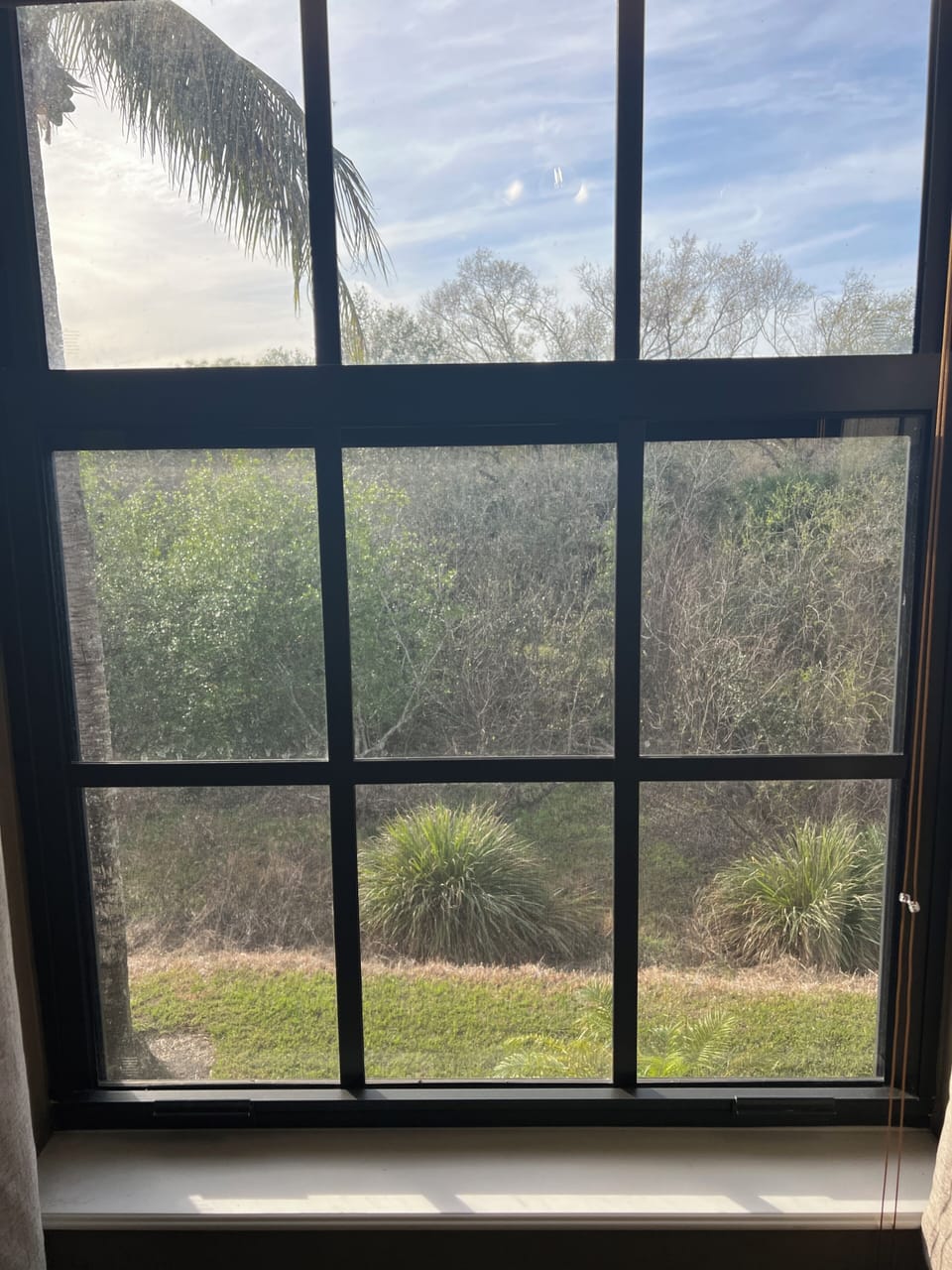Slough View from Queen Bedroom (Upper)