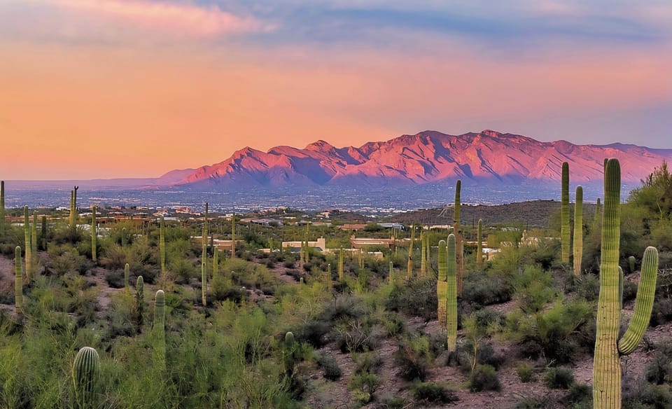 Catalina Mountain Sunset | Saguaro-Filled Sonoran Desert & Tucson Views