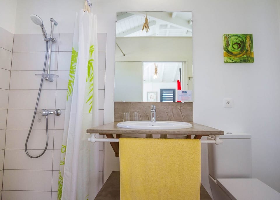 Iguane House villas & Micro Spa Villa Corail salle de douche