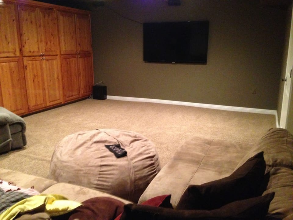 Living room/theater room