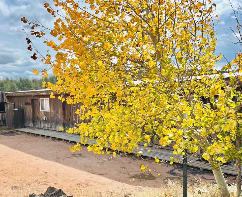 205293b8-e36a-4b25-8898-fa73761b7f96