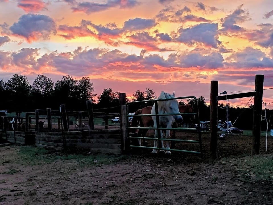 c86180f1-63d2-456f-8305-60e3cbc2dcc0