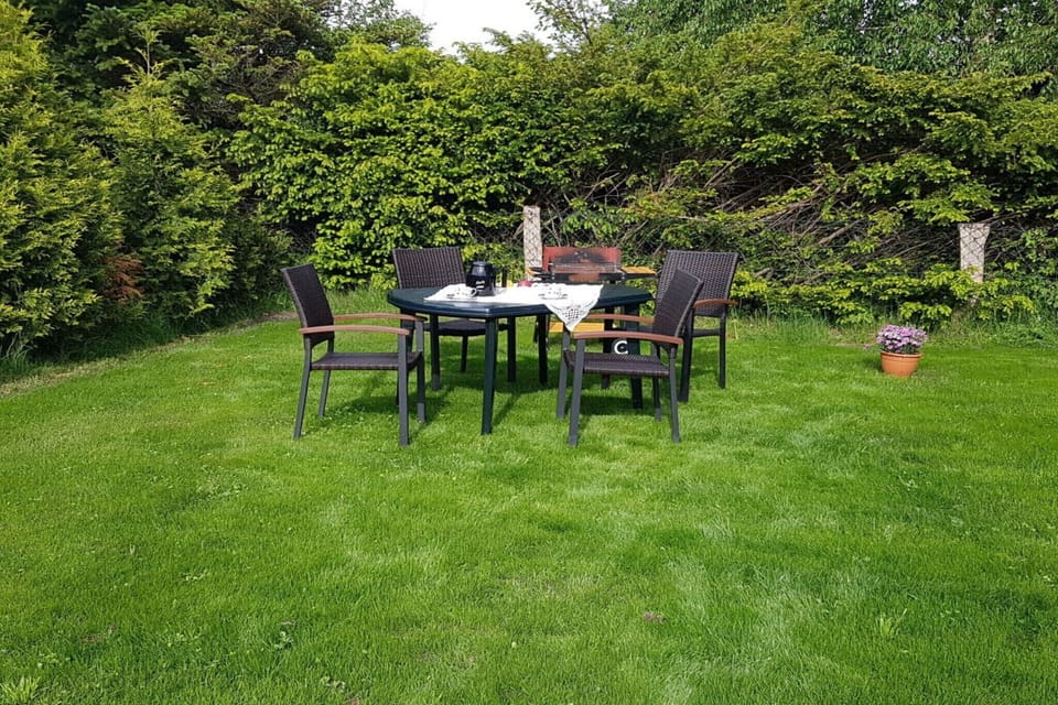 Garden [summer]