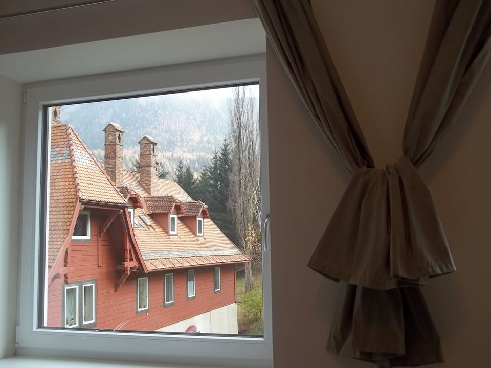 View from Kitchen in Apartment with Mountain View at Villa Wellspacher