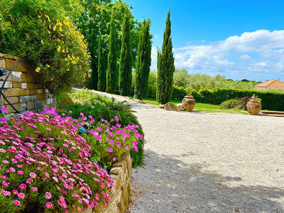 Lovely garden: lush greenery, colourful flowers, and serene beauty.