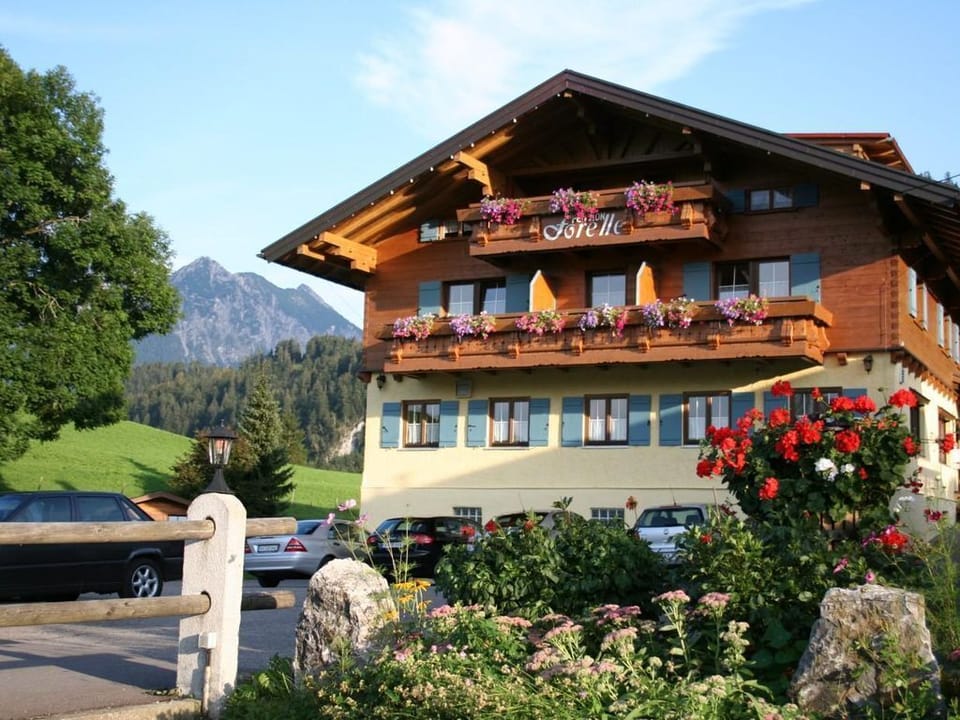 Single room with shower on the floor - Pension Forelle Bed and Breakfast in Oberstdorf