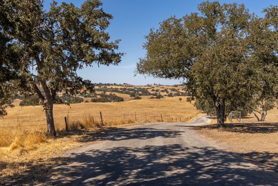 Enjoy a stroll on a country road