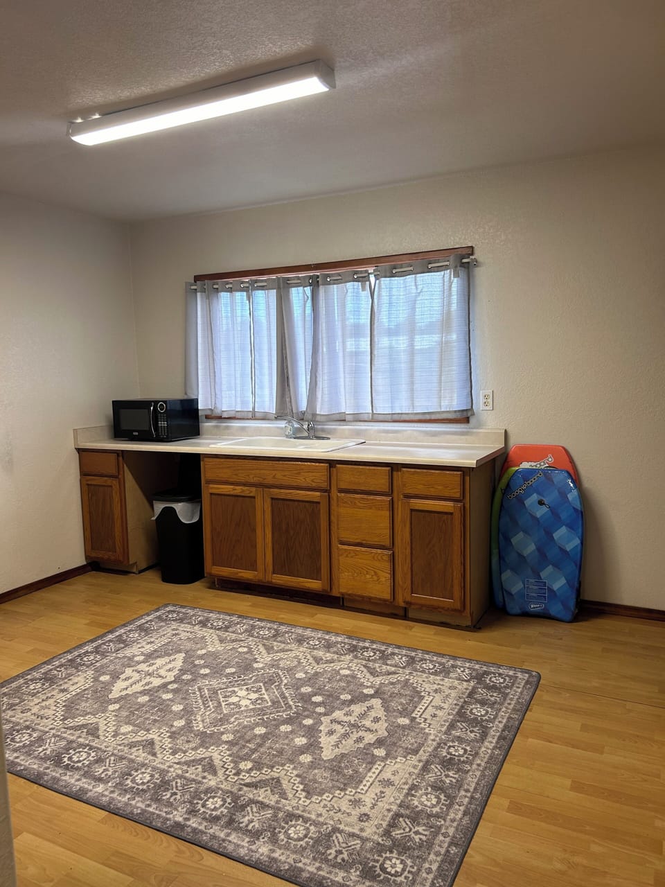 Downstairs area with refrigerator, microwave, sink, and closet.