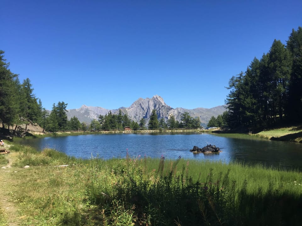 IMG 0858