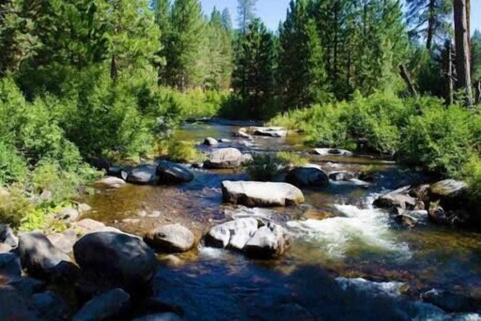 Fish for Trout, South Fork Stanislaus River