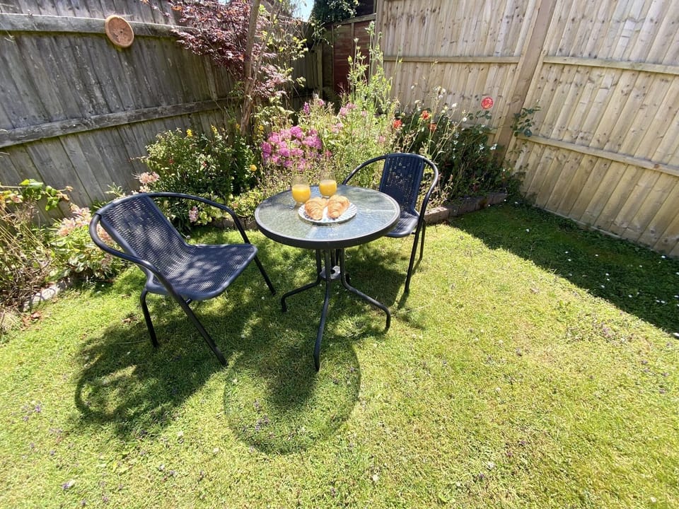 Sunny rear garden