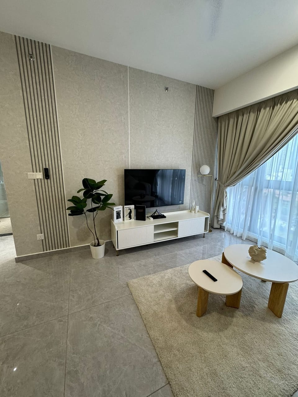 Television & Living Area